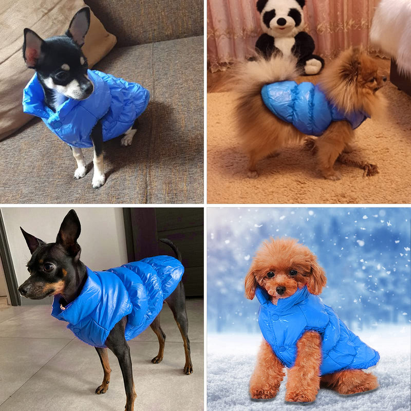 Small Dog Winter Coat Puppy Jacket, Fleece Lining Warm Dog Vest Windproof Cold Weather Pet Clothes for Chihuahua Teddy Poodles Blue M (4-6lbs) - PawsPlanet Australia