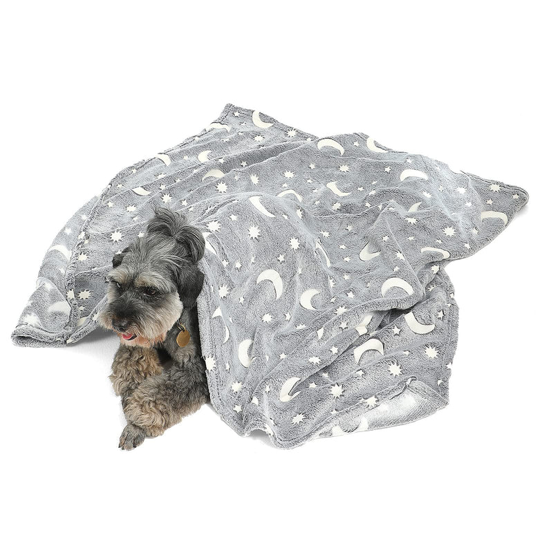 Star Moon Dog Throw Blanket Glow in The Dark, Pet Throw Blankets Luminous, Soft Fleece Plush Glow Throw Blankets for Large Medium Dogs Puppy Cats, (22Wx30L, Grey) 22Wx30L - PawsPlanet Australia