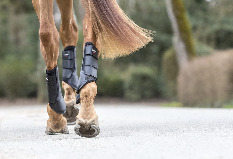 LeMieux ProSport Mesh Brushing Horse Boots with Perforated Inner Lining, Protective Grained PU Leather Palm & Strap - Equestrian Footwear S Black - PawsPlanet Australia