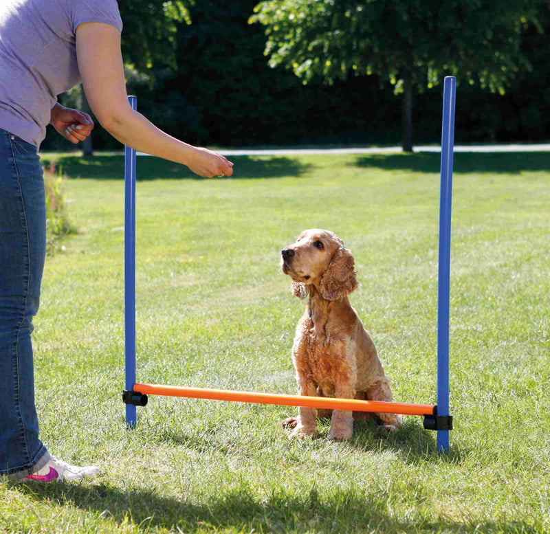 Trixie Dog Activity Agility Hurdle, 123 ﾗ 115 ﾗ 3 cm, Orange/ Blue - PawsPlanet Australia