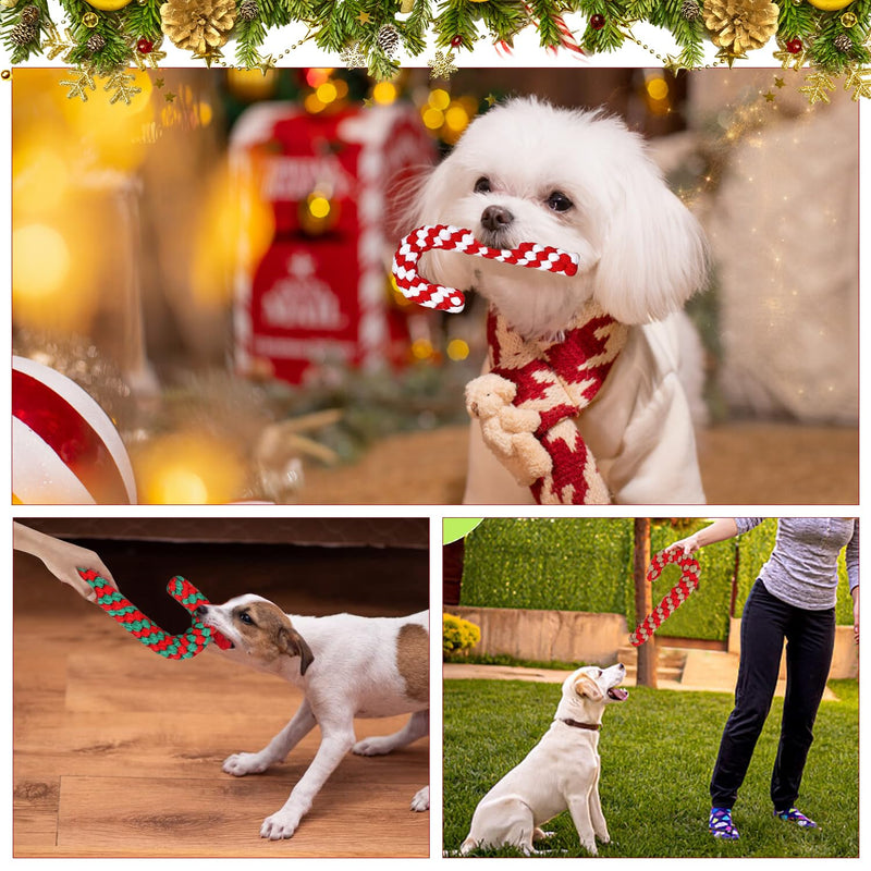 Christmas dog toy, Christmas candy cane rope, dog toy candy cane, dog toy rope, dog chew toy, Christmas gift dog toy for small dogs - PawsPlanet Australia