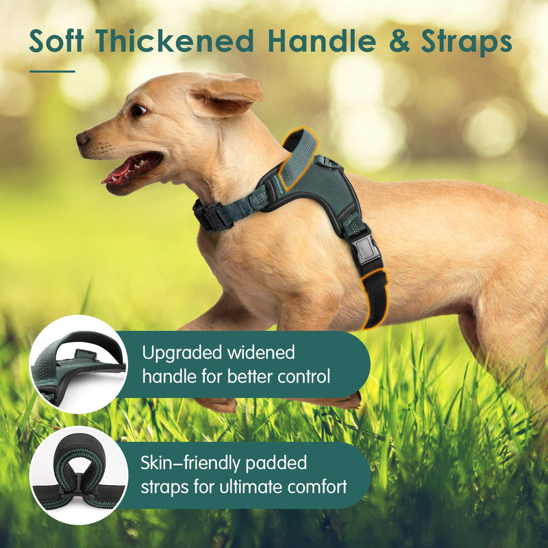 [Australia] - rabbitgoo Dog Harness, Dog Halter Harness with Soft Padded Straps & Shock-Absorbing Bungee Straps, Adjustable Dog Vest Harness with Padded Handle, Reflective Dog Walking Harness for Large, Medium Dogs 