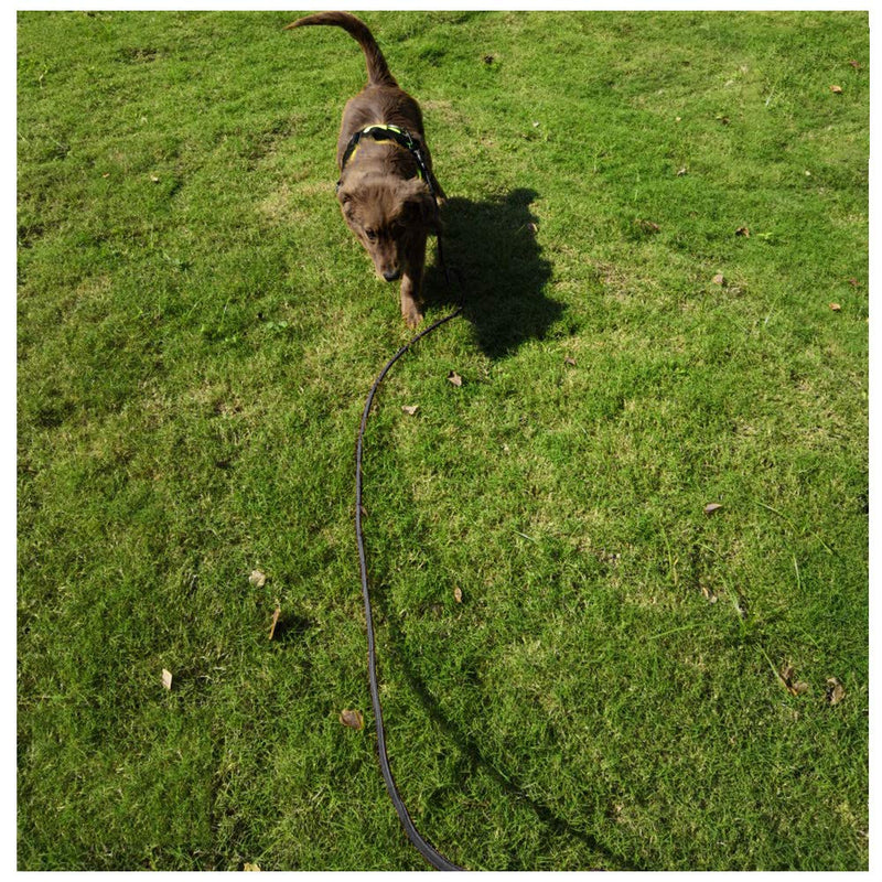 [Australia] - MayPaw 15FT/30FT/50FT Long Rope Training Dog Leash- Heavy Duty Nylon Recall Pet Tracking Line- for Small Medium Outside Training Play Camping or Backyard 30ft*1/3" black 