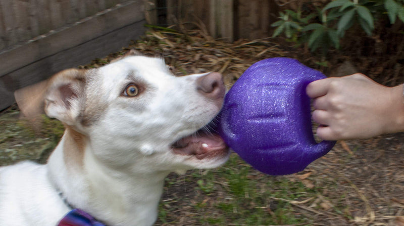 Kronos 9 Sphere Dog Toy, purple - PawsPlanet Australia