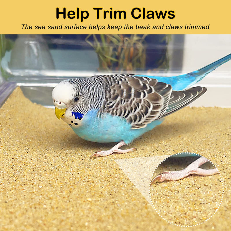 S&X Gravel Paper for Bird Cages 9 1/2 Inches x 15 3/4 Inches - PawsPlanet Australia