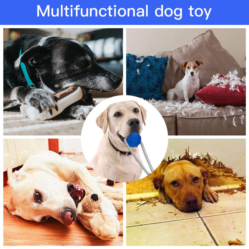 DGGHOMY Suction Cup Dog Toy, Pet Molar Bite Toy, Dog Tug Toy Chew Dog Rope Toy, Help Clean Teeth Multifunctional Interactive Rope Dog Toy - PawsPlanet Australia