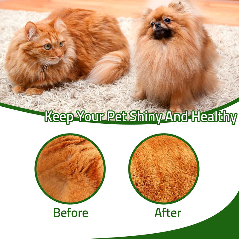 Mity rain Steamy Cat Brush - 3 In1 Cat Steam Brush, Cat Brush With Steam, Cat Hair Brush With Water For Dogs/Cats to Grooming,Clean and Shedding (Green) Green - PawsPlanet Australia