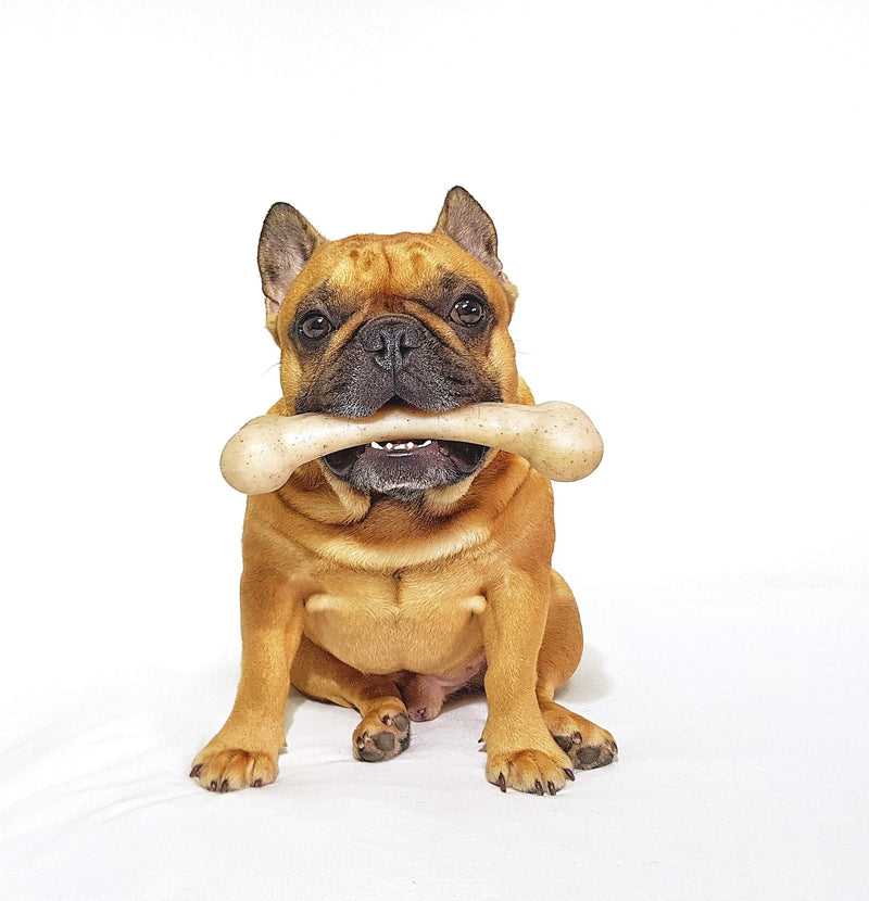 [Australia] - Pet Qwerks Flavor Infused BarkBone - Durable Chew Toy for Aggressive Chewers, Tough Extreme Power Chewer Bones | Made in USA REAL BACON Small 