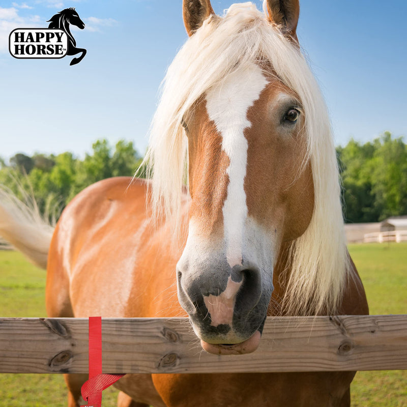 HARRIS Happy Horse Supplies, Nylon Bucket Strap 3 Pack for Hay Nets, Water Buckets, Outdoor Feeders, 22" - PawsPlanet Australia