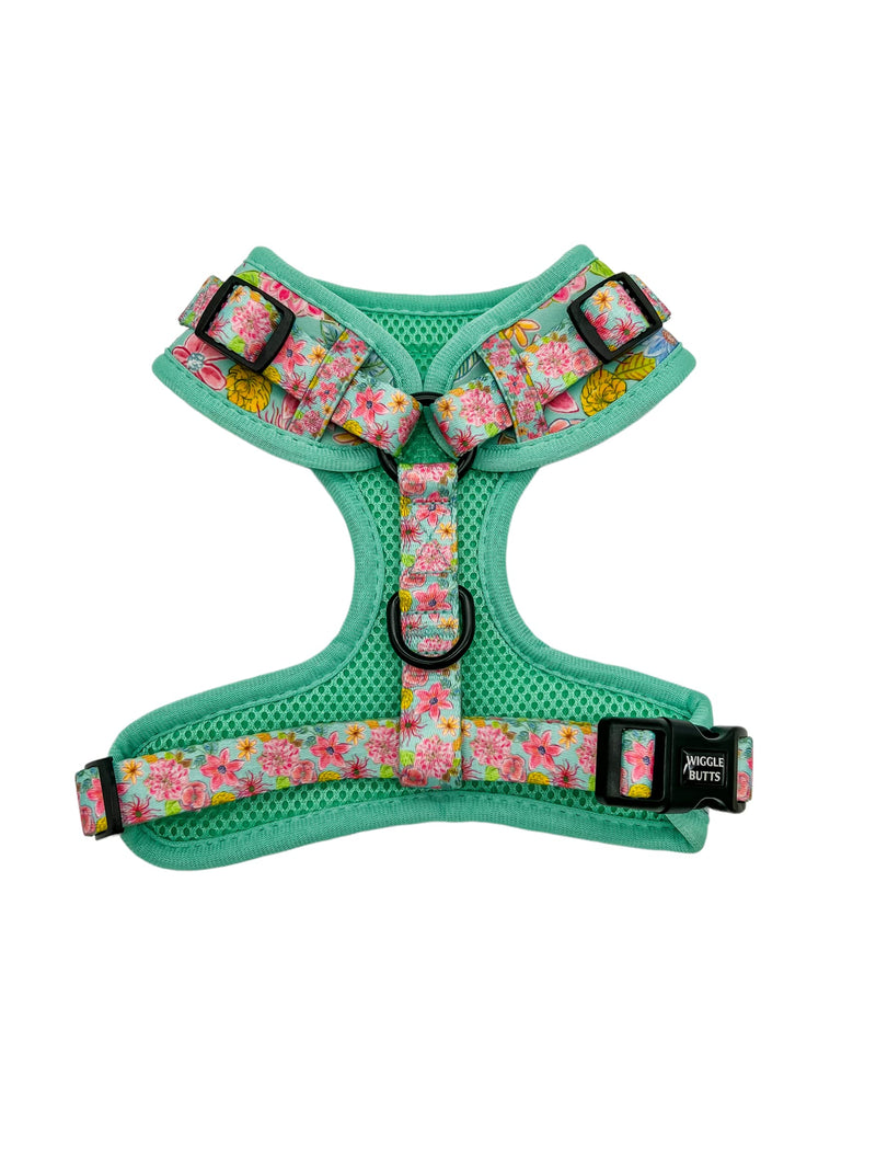 Turquoise Floral Dog Harness + Leash Set (Small) Small - PawsPlanet Australia