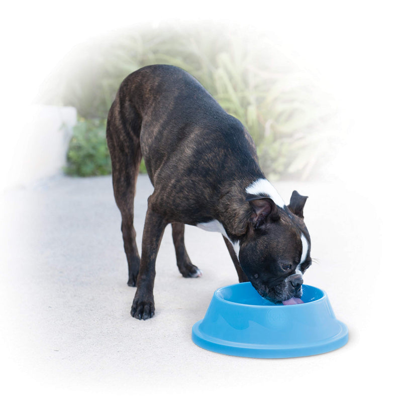 K&H Coolin' Water Bowl, Sky Blue, 32 oz - PawsPlanet Australia