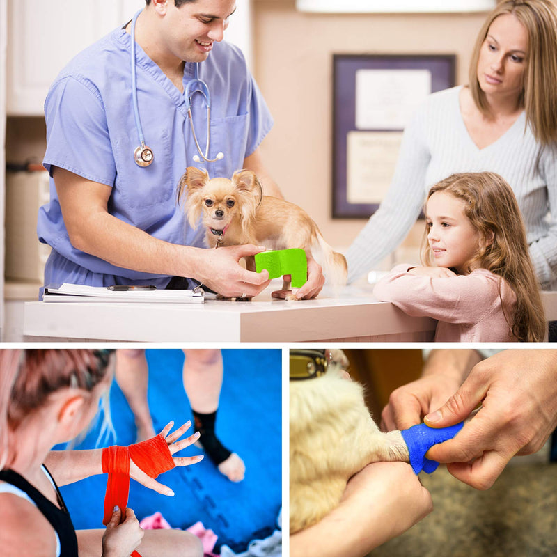 5 Rolls Vet Wrap Pet Self-Adhesive Bandage Cohesive Tapes for Animals (Blue or Orange+Green+Red) 4inch+3inch+2inch+1inch - PawsPlanet Australia