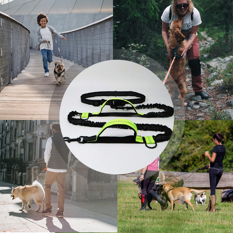 Hands-free dog leash, jogging leash, dogs with waist belt, elastic hands-free leash, running leash, retractable shock-absorbing dog leash with double handle, waist belt for hiking, running, medium-sized large dogs - PawsPlanet Australia