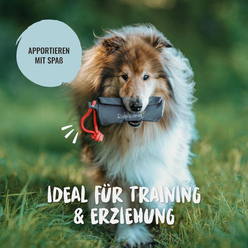 Rudelkönig food bag for dogs - retrieving bag for dog training - robust food dummy for treats grey - PawsPlanet Australia