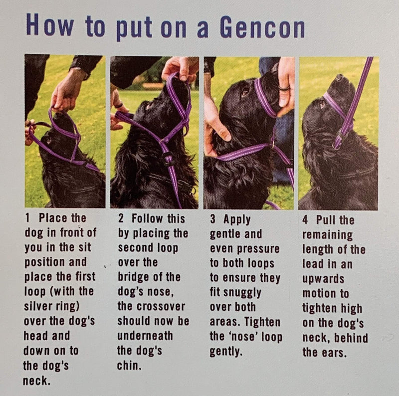 Gencon All-in-1 Headcollar and Lead Right-handed Purple/Pink - PawsPlanet Australia