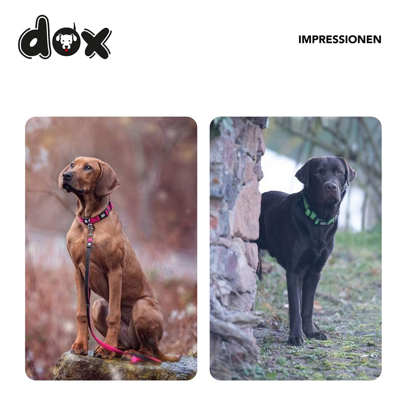 DDOXX Air Mesh Adjustable Padded Dog Collar | many colors | for small & large dogs | Collar Dog Cat Puppy | Dog collars | Cat collar puppy collar small | Black, LL - 3.2 x 45-68 cm - PawsPlanet Australia