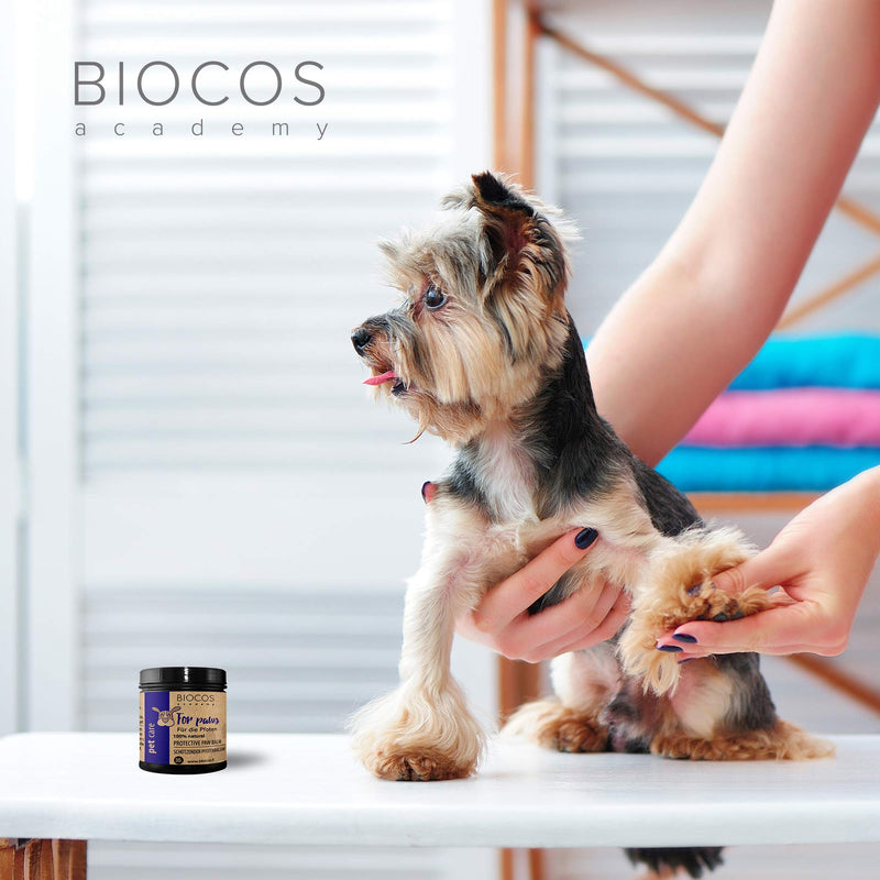 BIOCOS Academy Natural dog paw balm - Soothes damaged, cracked, crusty skin & itchy paws - Cream/wax for protection & care - Moisturising butter/ointment - Safe for nose/snout, too - PawsPlanet Australia