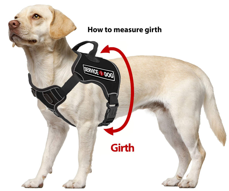 [Australia] - Dogline Quest No-Pull Dog Harness with 3D Rubber Service Dog Removable Patches Reflective Soft Comfortable Dog Vest with Quick Release Dual Buckles Black Hardware and Handle Girth 25" to 31" Blue 