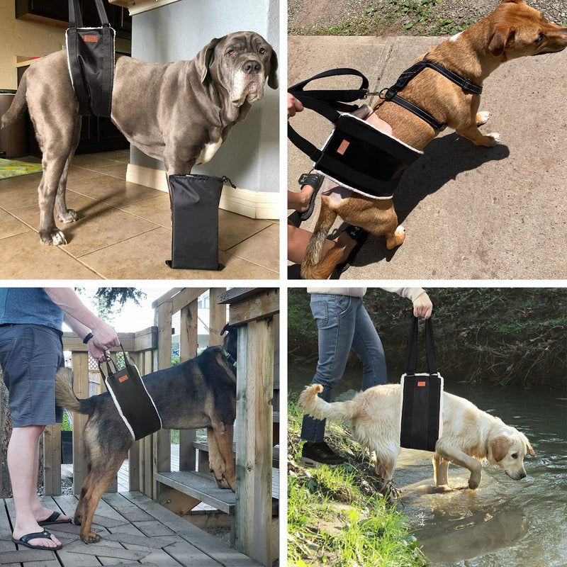 Adjustable Dog Lifting Harness, Support and Rehab Harness for Weak Rear Legs, Soft Sling Assist The Dog Who are Senior, Injured, Disabled and After ACL Surgery Rehabilitation (For Large Dog) For Large Dog - PawsPlanet Australia