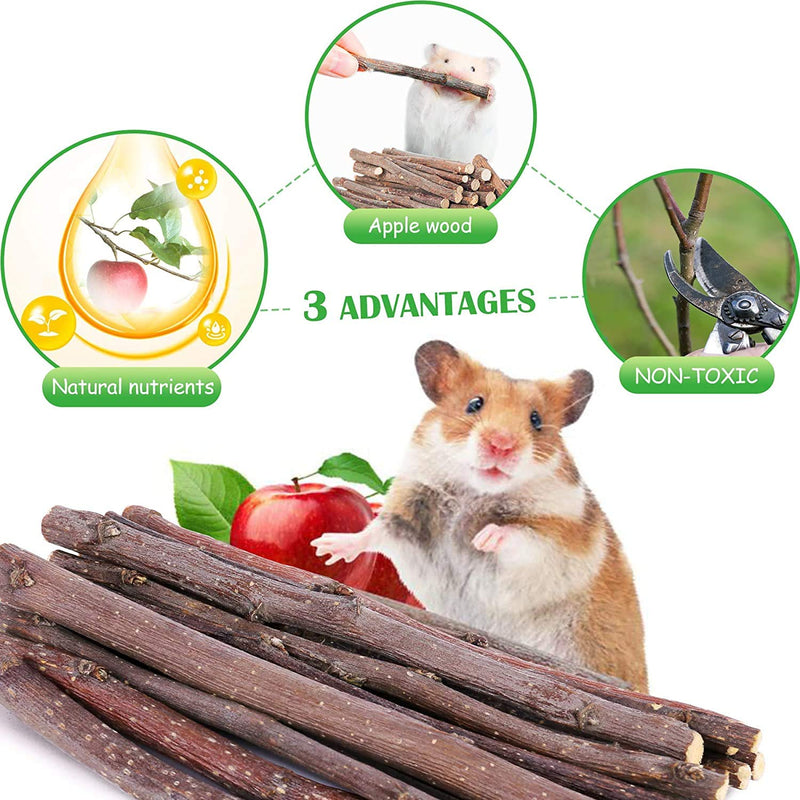 Elipark 12 Pack Wooden Hamster Toys Set,Guinea Pig Toys Natural Apple Wood Rabbit Rat Bunny Chinchillas Dwarf Hamsters Chew Toys Treats,Exercise Accessories for Small Animal Pet Chewing and Teeth Care - PawsPlanet Australia