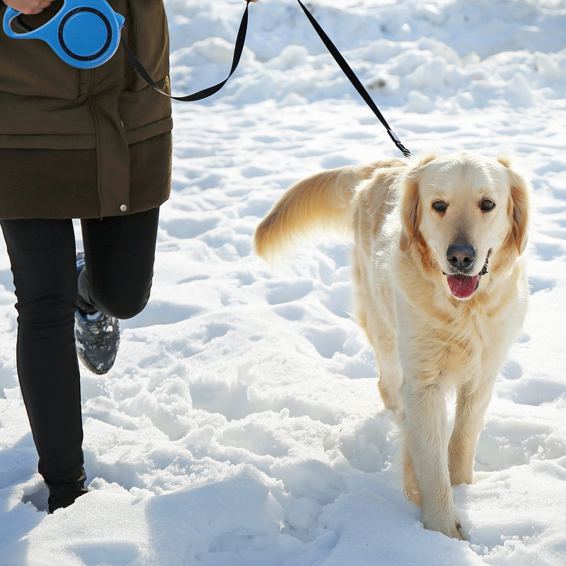 Retoo roll-up dog leash 3 m for small and large dogs, flexible band for right-hand walks, dog leash, comfortable handle, belt leash, robust pull-out leash for walking, roll-up leash, high-quality leash - PawsPlanet Australia
