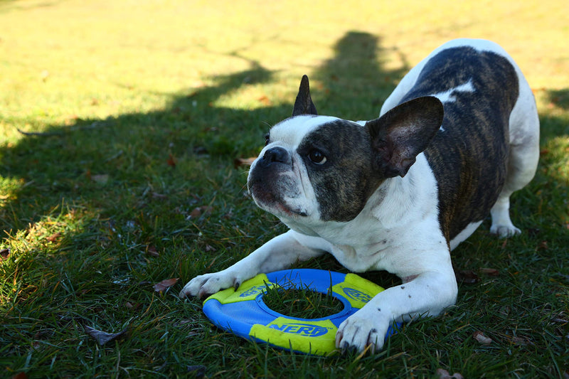 Nerf Dog Toss and Tug Ring Dog Toy, Frisbee, Lightweight, Durable and Water Resistant, 9 Inch Diameter, For Medium/Large Breeds, Two Pack, Green and Orange - PawsPlanet Australia