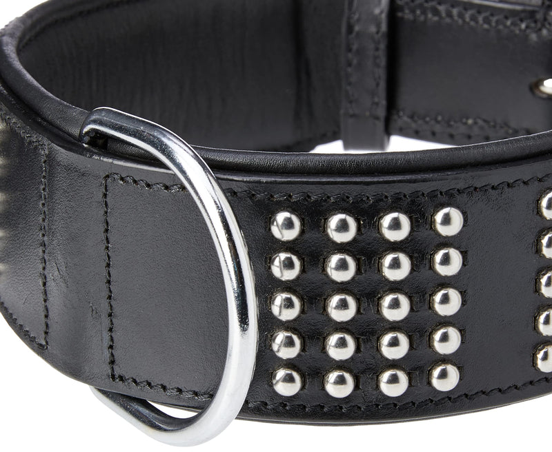 Nobby Vinto Leather Dog Collar, 60 cm Length x 50 mm Width, Black - PawsPlanet Australia