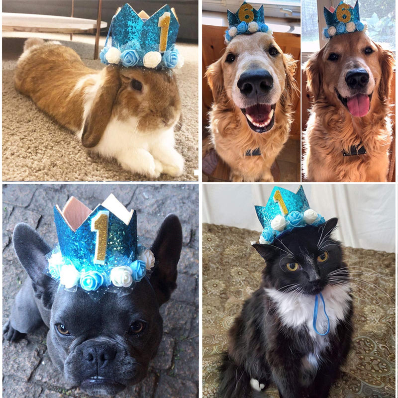 POSAPET Crown Dog Birthday Hat Reusable Doggie Birthday Party Hat for Pets Glitter Crown Hats for Dogs Cats Kitten Headband Hats Blue - PawsPlanet Australia