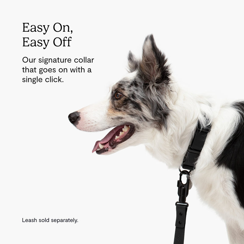 Fable Waterproof Signature Collar - Black - Extra Large - PawsPlanet Australia