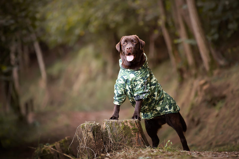 Croci Hiking Waterproof for Dogs, Portable, Go Camouflage, Size 45 cm - 260 g - PawsPlanet Australia