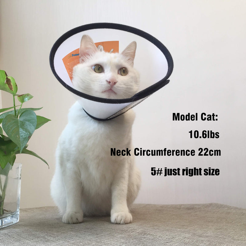 Depets Adjustable Recovery Pet Cone E-Collar for Cats Puppy Rabbit, Plastic Elizabeth Protective Collar Wound Healing Practical Neck Cover M (Neck: 8.6-9.8 IN) - PawsPlanet Australia