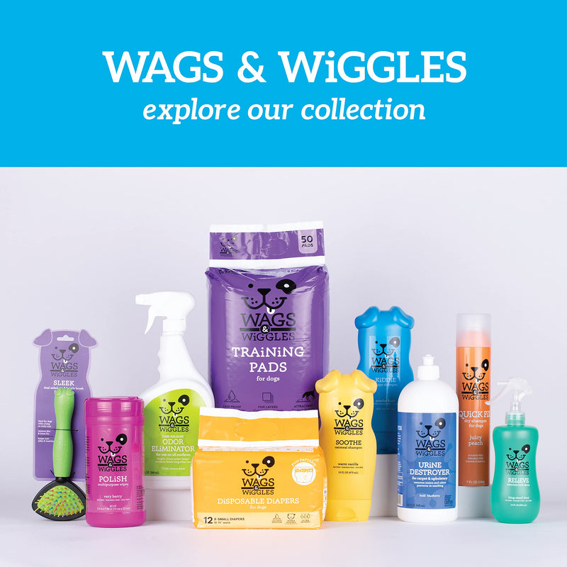 Wags & Wiggles Dog Grooming Shampoo - Dog Shampoo For Smelly Dogs, Various Scents - 16 Oz Shampoo for Dogs - Dog Grooming Supplies, Pet Shampoo, Puppy Shampoo, Dog Wash, Dog Bathing Supplies 16 Ounces Sooth Oatmeal Shampoo - PawsPlanet Australia