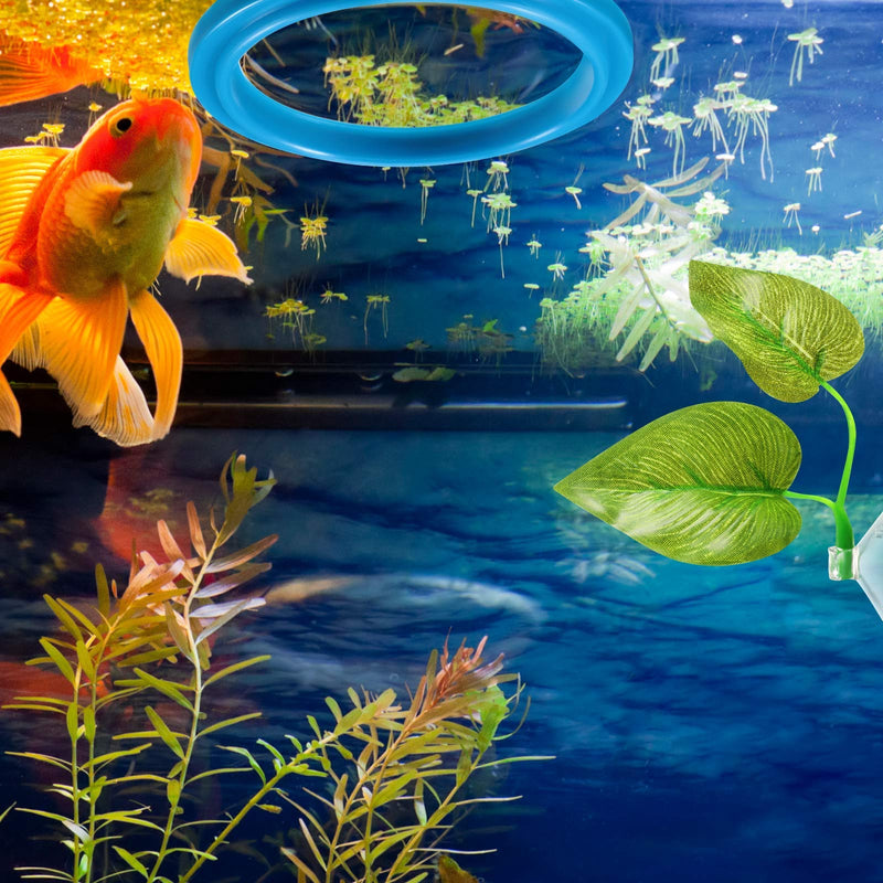 4 Pieces Aquarium Feeding Set Fish Feeding Ring Square and Round Fish Floating Food Feeder with Suction Cup Fish Safe Spawning Bed Hammock and Betta Fish Leaf Pad with Suction Cup for Betta Fish - PawsPlanet Australia