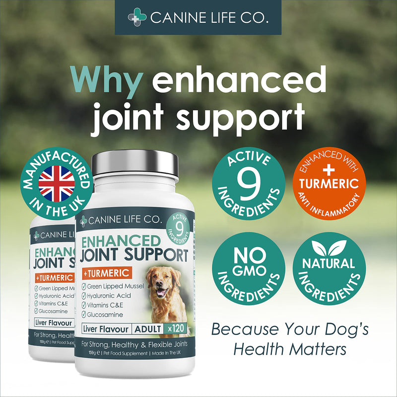 Enhanced Adult Dog Joint Supplements | Dog Anti Inflammatory | Joint Aid For Dogs | 120 Chewable Tablets | With Turmeric For Dogs, Glucosamine For Dogs & Green Lipped Mussel | Made In The UK - PawsPlanet Australia