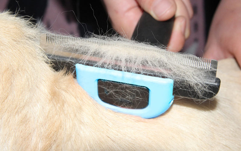 Maxpower Planet Pet Grooming Brush for Dogs and Cats Effectively Reduces Shedding by Up to 95% Blue - PawsPlanet Australia