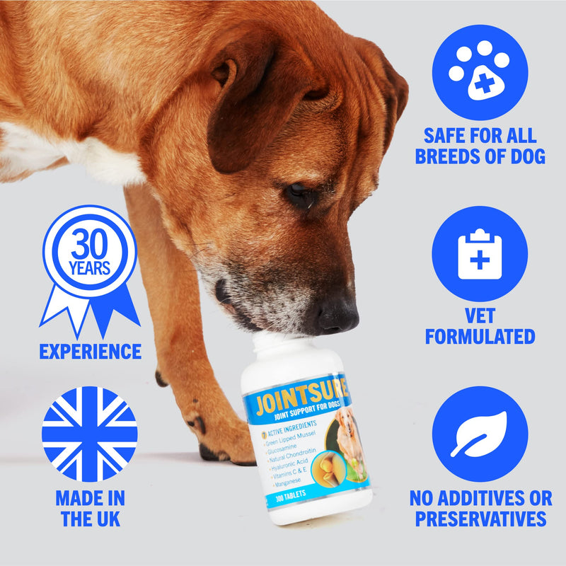 JOINTSURE SENIOR Hip & Joint Supplements for Dogs - Pack of 60 Tablets- Soothes Joints, Aids Mobility - High Levels of Glucosamine & Green Lipped Mussel - PawsPlanet Australia