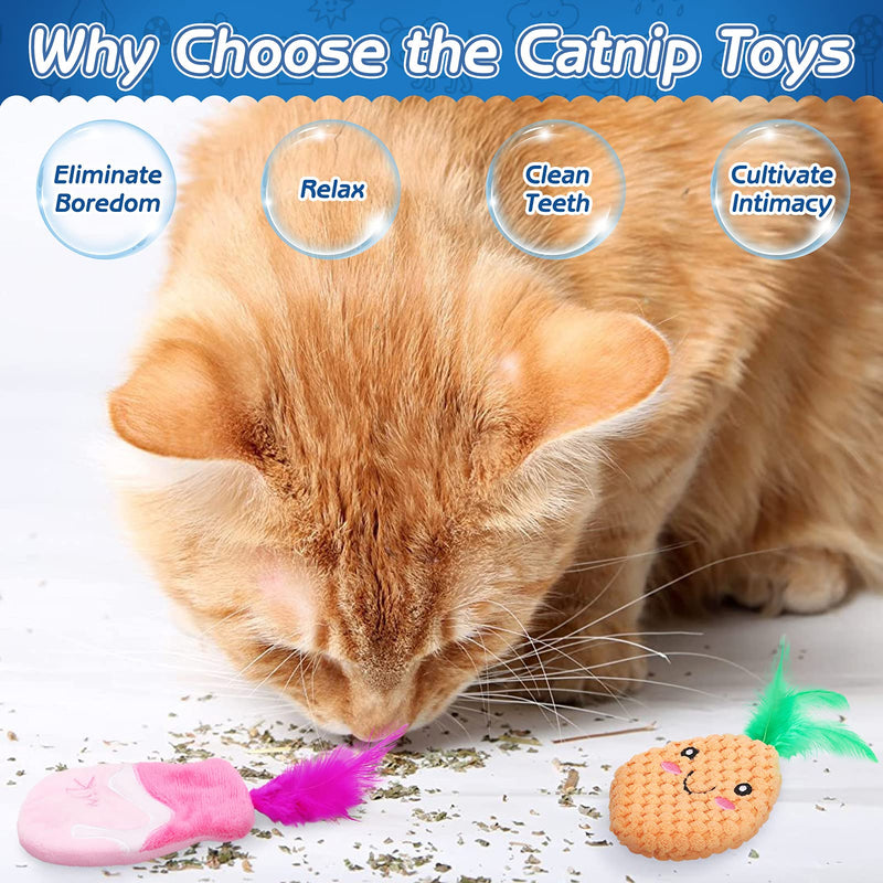 PAWCHIE Catnip Toy for Indoor Cats 6 Packs - Soft Plush Kitten Kicker Toys, Natural Catnip Filled for Kitty Cats Chewing Playing - PawsPlanet Australia