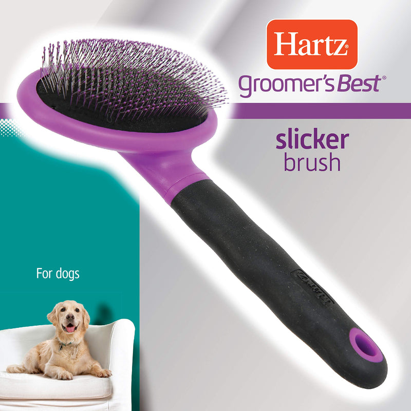 Hartz Groomer's Best Slicker Brush for Dogs - PawsPlanet Australia