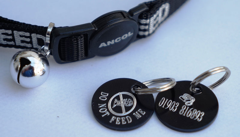 DO NOT FEED REFLECTIVE SAFETY CAT COLLAR BLACK & PERSONALISED TAG WITH FISH BONE MOTIF - PawsPlanet Australia