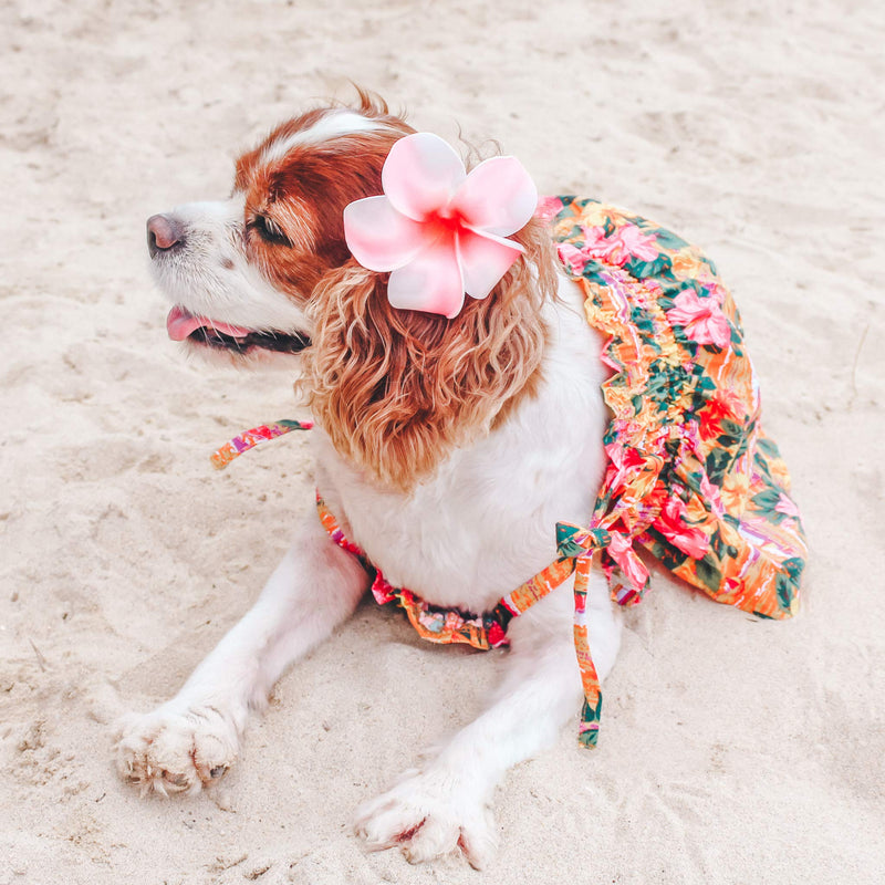 Parisian Pet Dog Summer Camp Hawaiian Flower Tropical Dress, XS Hawaiian Dress - PawsPlanet Australia