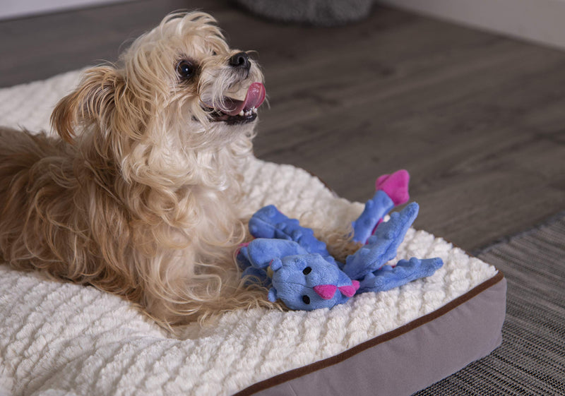 [Australia] - goDog Periwinkle Dragons Dog Toy Small Perwinkle 