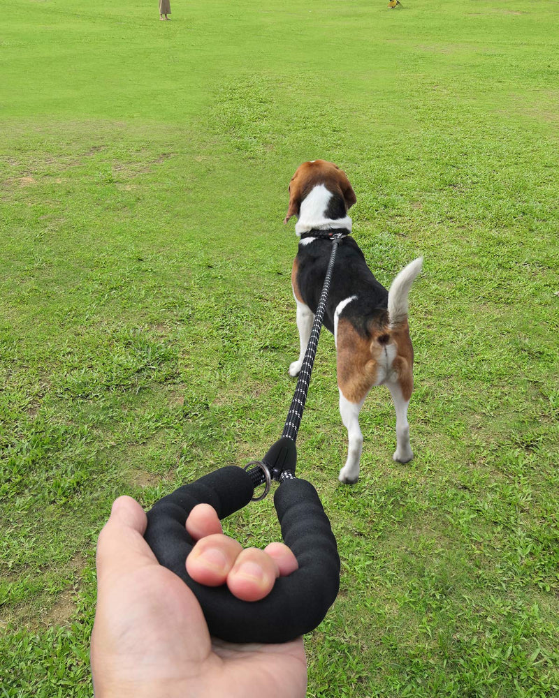 6FT Strong Dog Leashes,Dog Walking Belt,1/2-inch Strong Dog/Puppy Leash with Comfortable High-Density Foam Handle,Convenient for Training Large or Medium Dogs (Black, 1/2" X 6TF) Black - PawsPlanet Australia