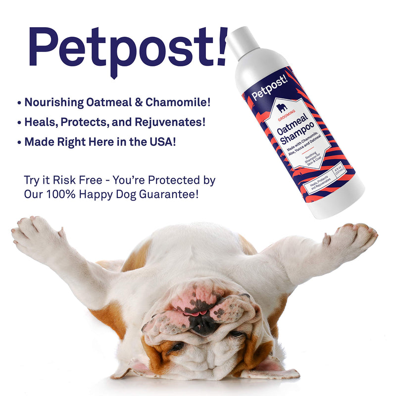 [Australia] - Petpost | Oatmeal & Chamomile Shampoo for Dogs with Dry Skin - Naturally Heals, Protects, Rejuvenates Dog Skin & Coat - Oatmeal, Chamomile, Aloe & Yucca Formula 8 Ounce 