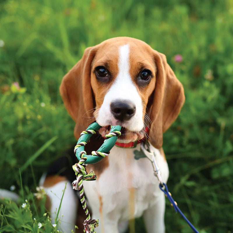 rocket & rex Dog Toy Pack, Chew Toys for Small Dogs and Dog Toys for Puppies, Safe & Non-Toxic, for Small to Medium Breeds, Includes Rope Toys, Plush Squeaky Toy, Ball and Tug of War Toy Cow Chew Toy Set - PawsPlanet Australia