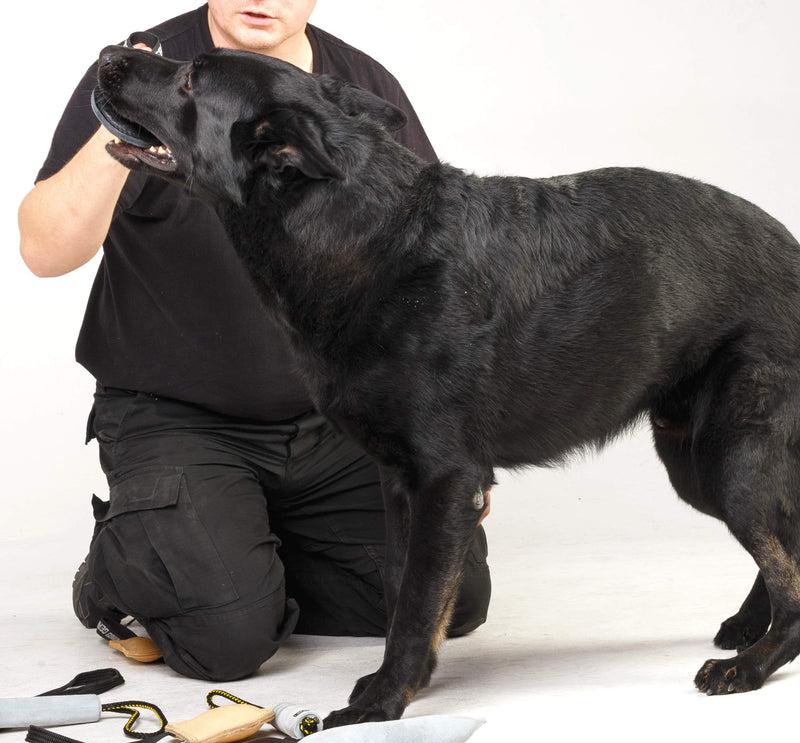 Dingo Gear Bite Tug Genuine Leather Handmade Tough Toy for K9 Dog Training and Play S00229, Black - PawsPlanet Australia