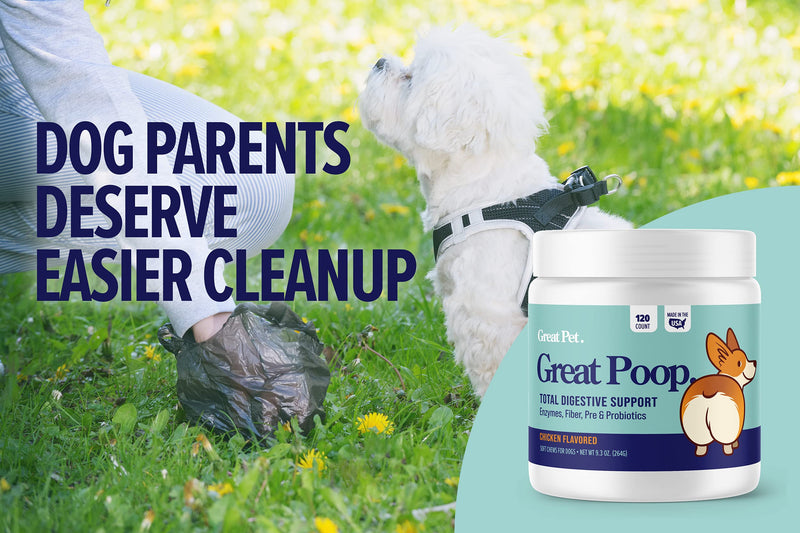 Great Poop Probiotics for Dogs and Cats - A Fiber for Dogs & Cat Supplement with Dog Probiotics and Digestive Enzymes for a Healthy Gut, Firm Stool & Diarrhea Relief - Chicken Flavored Pet Soft Chews with Prebiotics Dog - 120 Ct - PawsPlanet Australia