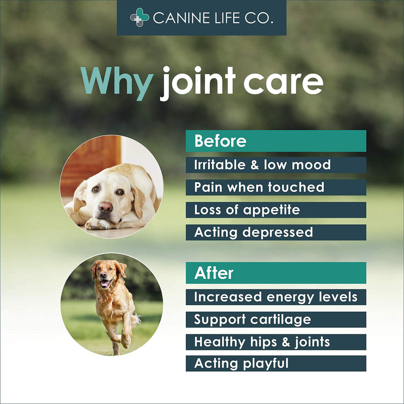 Enhanced Adult Dog Joint Supplements | Dog Anti Inflammatory | Joint Aid For Dogs | 120 Chewable Tablets | With Turmeric For Dogs, Glucosamine For Dogs & Green Lipped Mussel | Made In The UK - PawsPlanet Australia