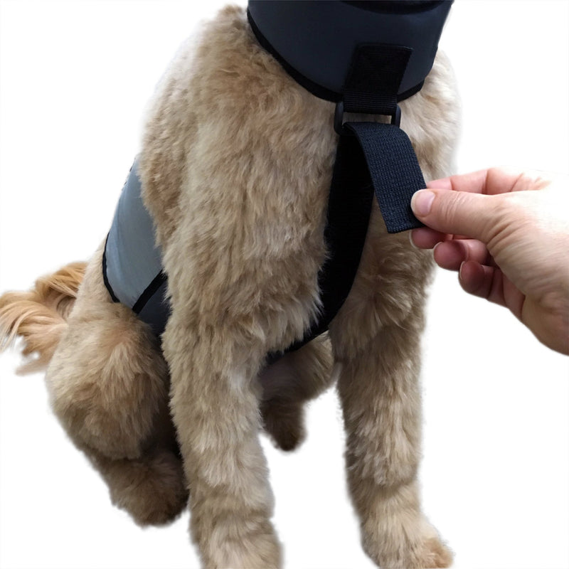 [Australia] - CoolerDog Dog Cooling Vest and Cooling Collar - Ice Vest for Dogs M 