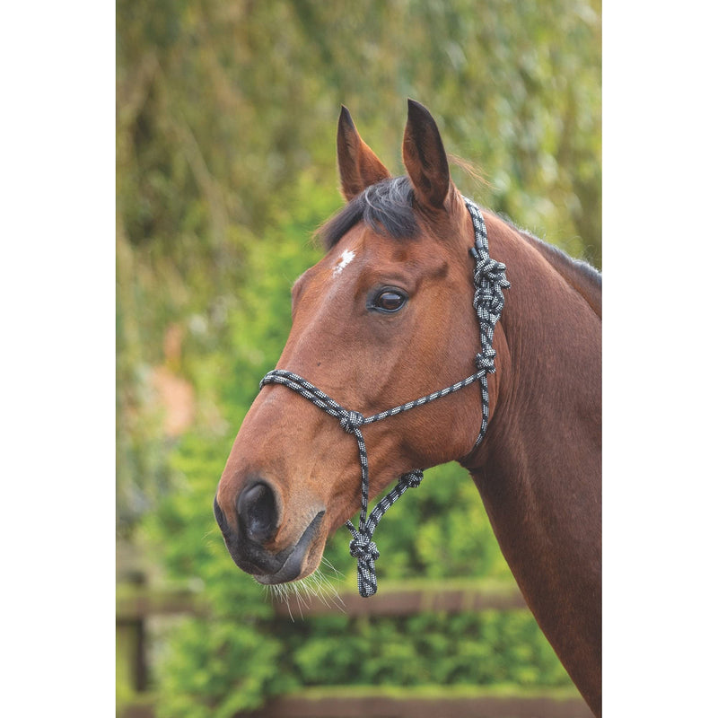 Shires Rope Control Headcollar Purple/Black - PawsPlanet Australia