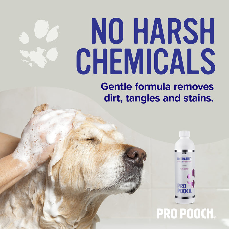 Pro Pooch Oatmeal Dog Shampoo - Natural & Hypoallergenic Formula for Sensitive Dogs w/Itchy Skin - Grooming Product w/Aloe Vera & Pro Vitamin B5 (250ml) 250 ml (Pack of 1) - PawsPlanet Australia